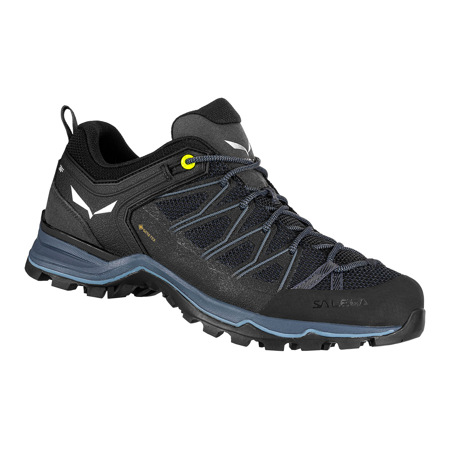 SALEWA Mountain Trainer Lite GTX Schuhe schwarz